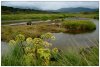 6/islande 9 (Small).jpg